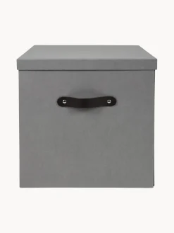 Best Bigso Box of Sweden Boîte de rangement Texas Gris
