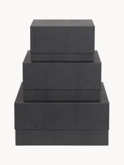 Discount Bigso Box of Sweden Boîtes de rangement Ilse, 3 élém. Anthracite