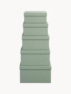 Fashion Bigso Box of Sweden Boîtes de rangement Joel, 5 élém. Vert sauge