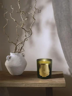 Best Trudon Bougie parfumée artisanale Spiritus Sancti Muguet
