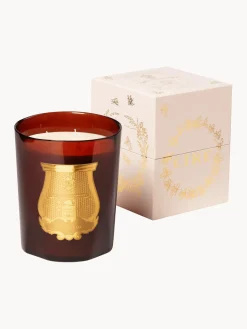 Best Trudon Bougie parfumée artisanale Cire (absolu de cire d'abeille, huile essentielle de cannelle, huile essentielle de santal)