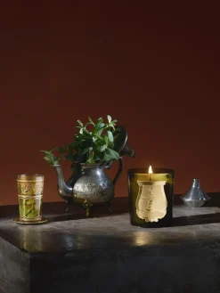 Sale Trudon Bougie parfumée artisanale Solis Rex (écorce d'épicéa) Écorce d'épicéa