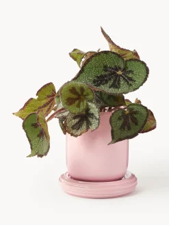 Clearance &k Amsterdam Cache-pot Churros Rose pâle, haute brillance