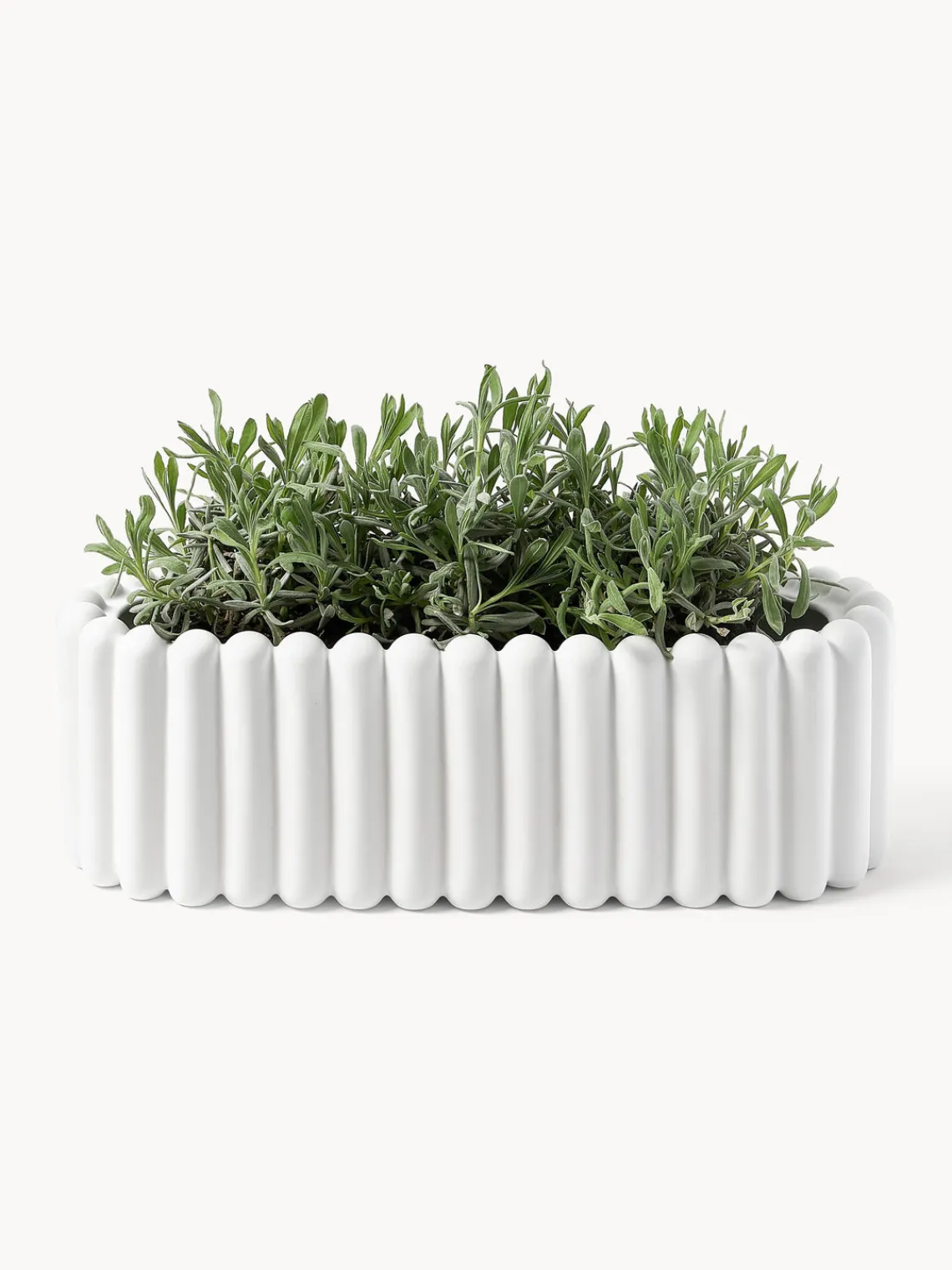 Fashion DBKD Cache-pot en céramique Mist, larg. 48 cm Blanc, mat
