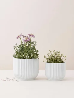 New Lyngby Porcelaen Cache-pot en porcelaine Lyngby, haut. 11 cm