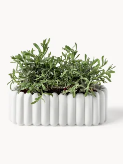 Online DBKD Cache-pot Mist, larg. 35 cm Blanc, mat