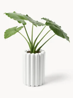 Discount DBKD Cache-pot Mist, larg. 27 cm Blanc, mat