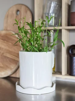 Hot Oyoy Living Design Cache-pot Nami, haut. 18 cm