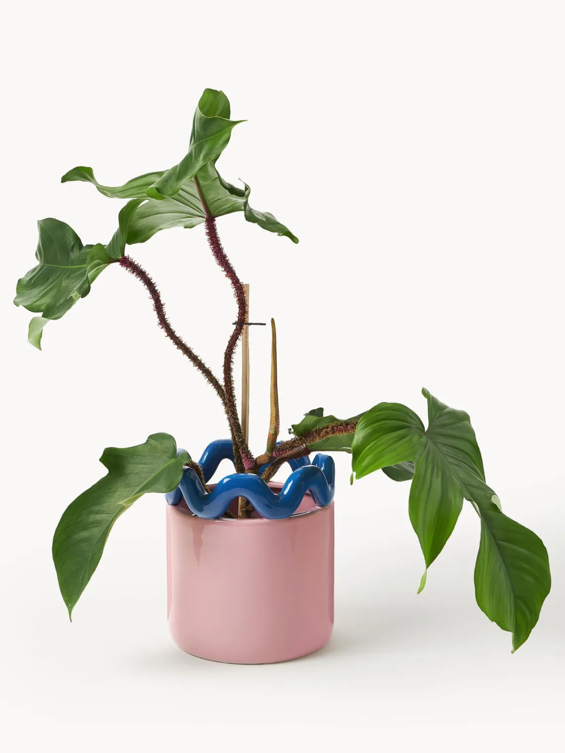 Sale &k Amsterdam Cache-pot Sway
