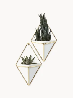 Fashion Umbra Cache-pots muraux Trigg, 2 pièces