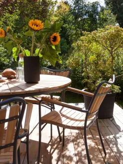 Outlet Cinas Chaise de jardin à accoudoirs en bois Ellen Bois de teck, anthracite