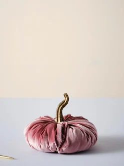 Online Jotex Citrouille décorative Pumpis, Ø 19 cm