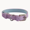 Hot Jotex Collier pour animaux domestiques Inu