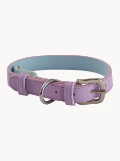 Hot Jotex Collier pour animaux domestiques Inu