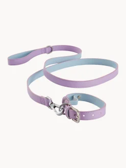 Hot Jotex Collier pour animaux domestiques Inu