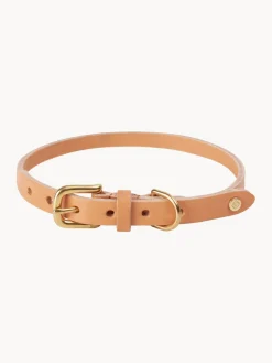 New Oyoy Living Design Collier pour animaux domestiques en cuir Robin, long. 58 cm