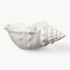 Outlet Byon Coupe en dolomite Awa
