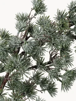 Sale Bloomingville Couronne de l'Avent Juene
