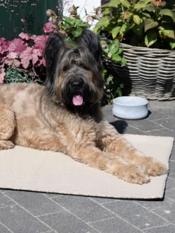 New Laboni Couverture matelassée antidérapante pour animaux de compagnie Teddy, tailles variées Beige clair