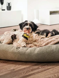 Sale Laboni Couverture pour animaux Cozy, tailles variées