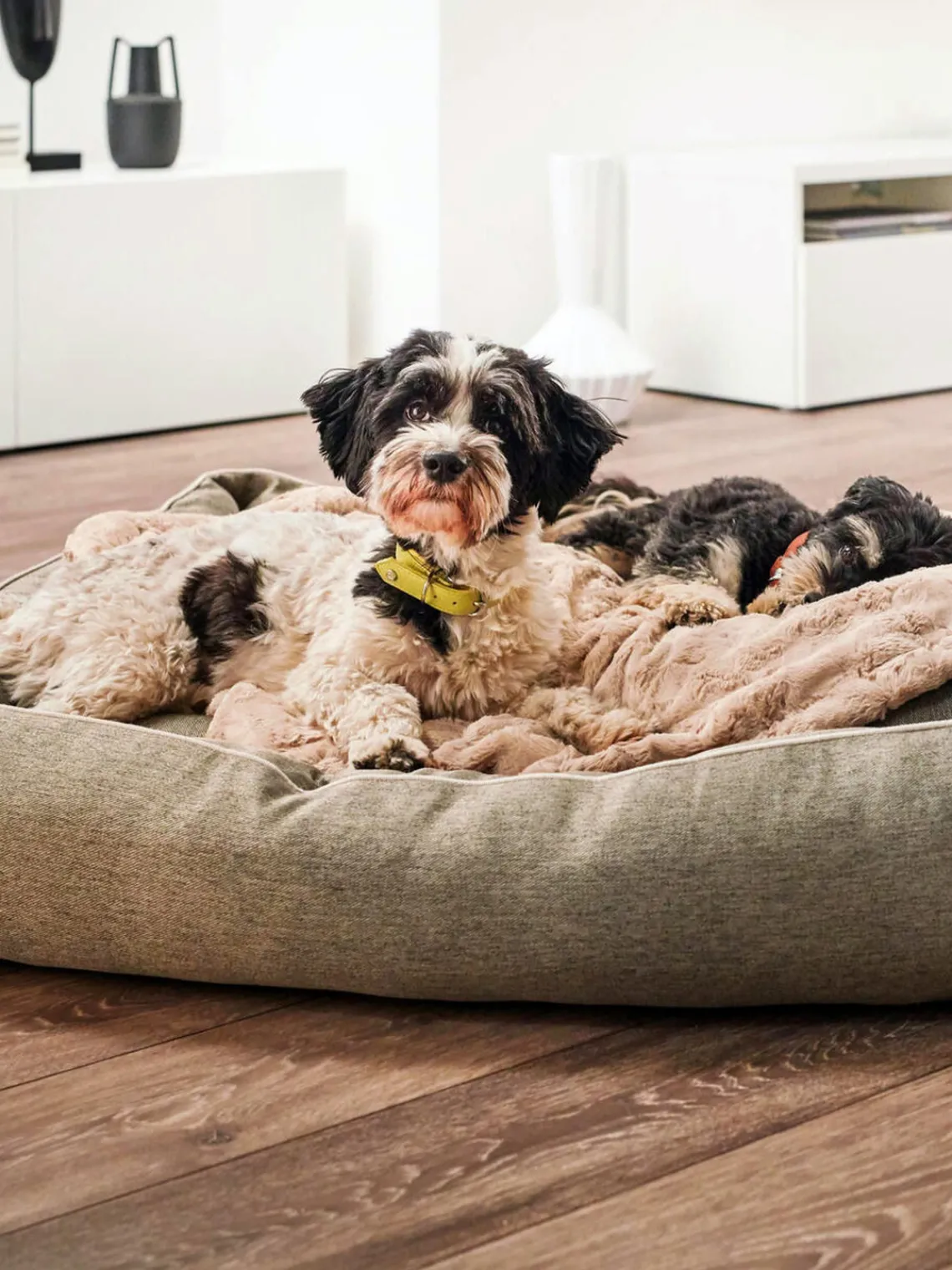 Sale Laboni Couverture pour animaux Cozy, tailles variées
