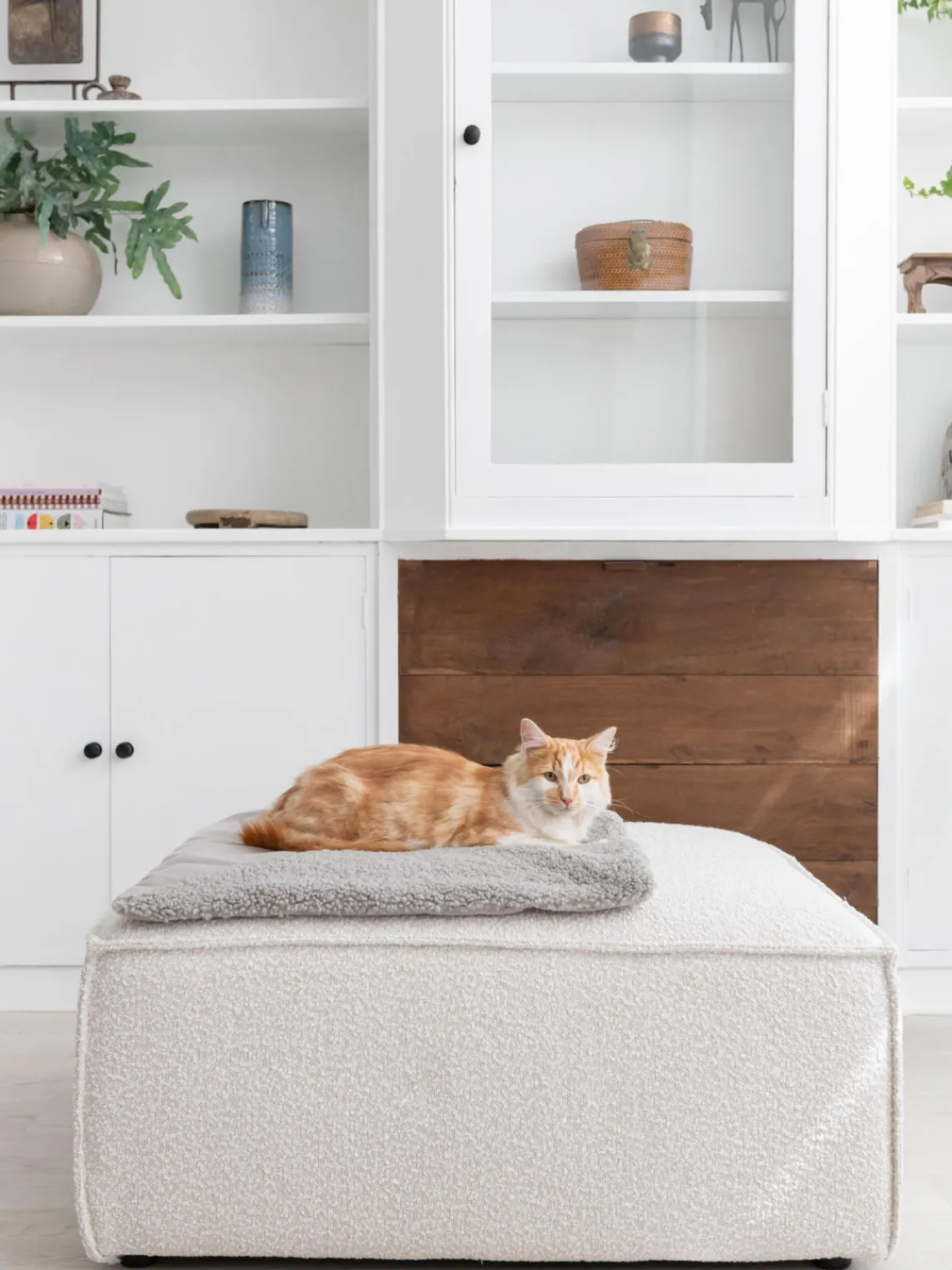 Online Hoopo Couverture pour chat Tri Gris