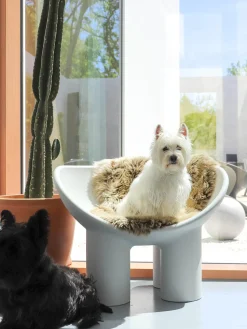 Outlet Driade Fauteuil lounge en plastique Roly Poly Blanc crème