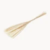 Sale Cooee Design Fleurs séchées Pamoas