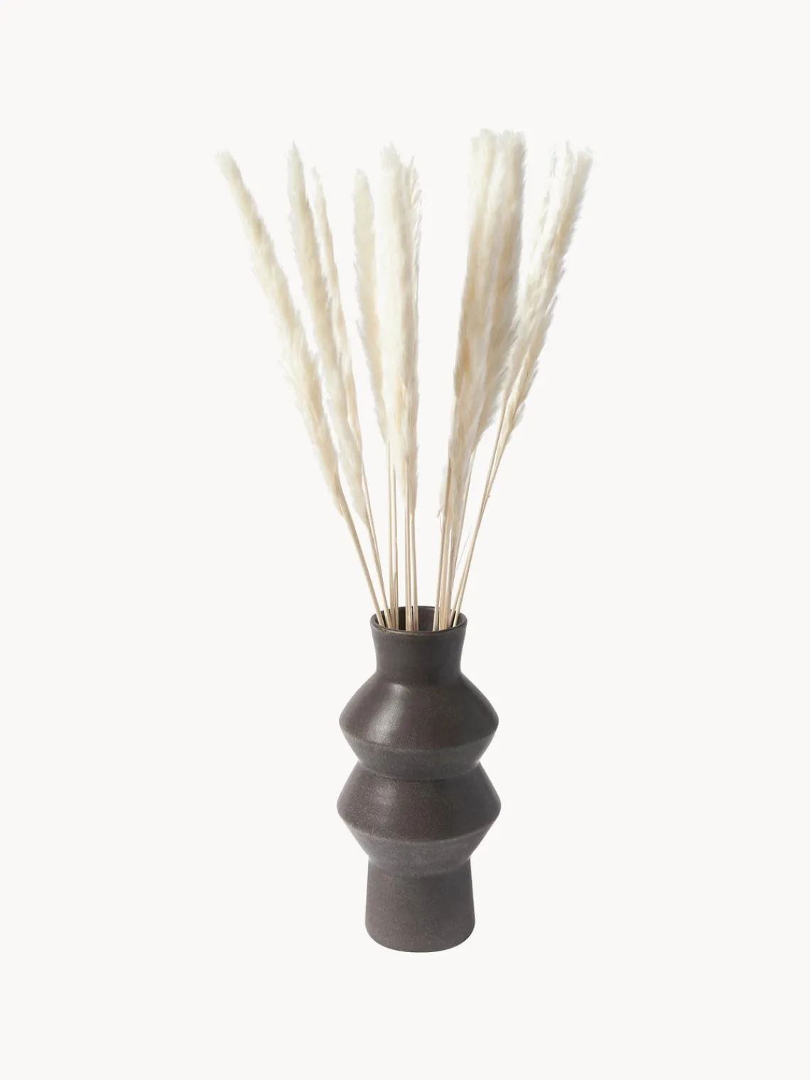 Sale Cooee Design Fleurs séchées Pamoas