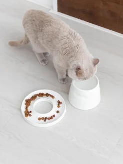 Discount Hoopo Gamelle en porcelaine pour animaux domestiques Tower