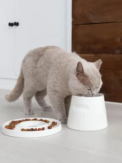 Discount Hoopo Gamelle en porcelaine pour animaux domestiques Tower
