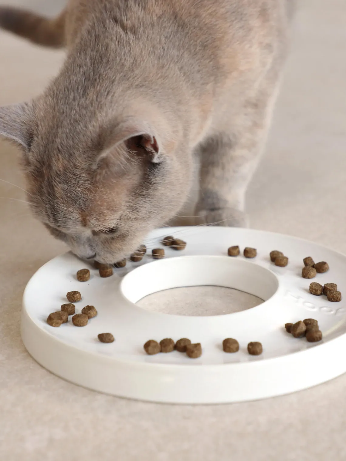 New Hoopo Gamelle en porcelaine pour animaux domestiques Ring Blanc