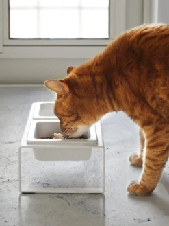 Online Yamazaki Gamelles pour animaux domestiques avec support Tower Blanc