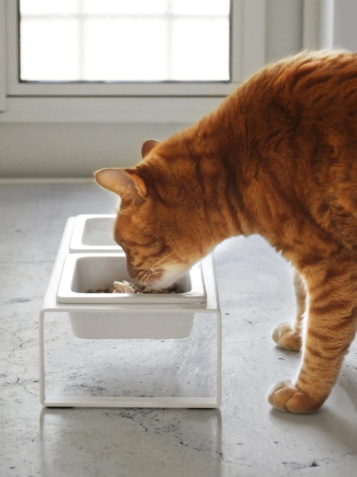 Online Yamazaki Gamelles pour animaux domestiques avec support Tower Blanc