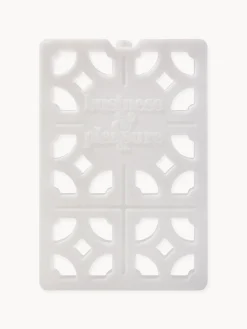 Clearance Business & Pleasure Insert de refroidissement Mini