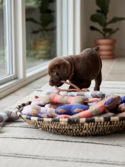 Online Oyoy Living Design Jouet pour chien en forme d'os Ashi, tailles variées Brun, bleu foncé