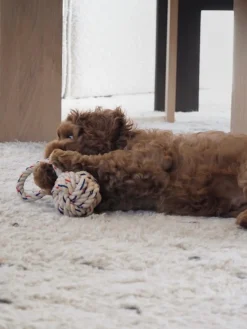 Best Oyoy Living Design Jouet pour chien Otto Beige clair