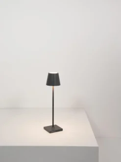 Online zafferano Lampe à poser LED mobile Poldina, intensité lumineuse variable Anthracite, mat