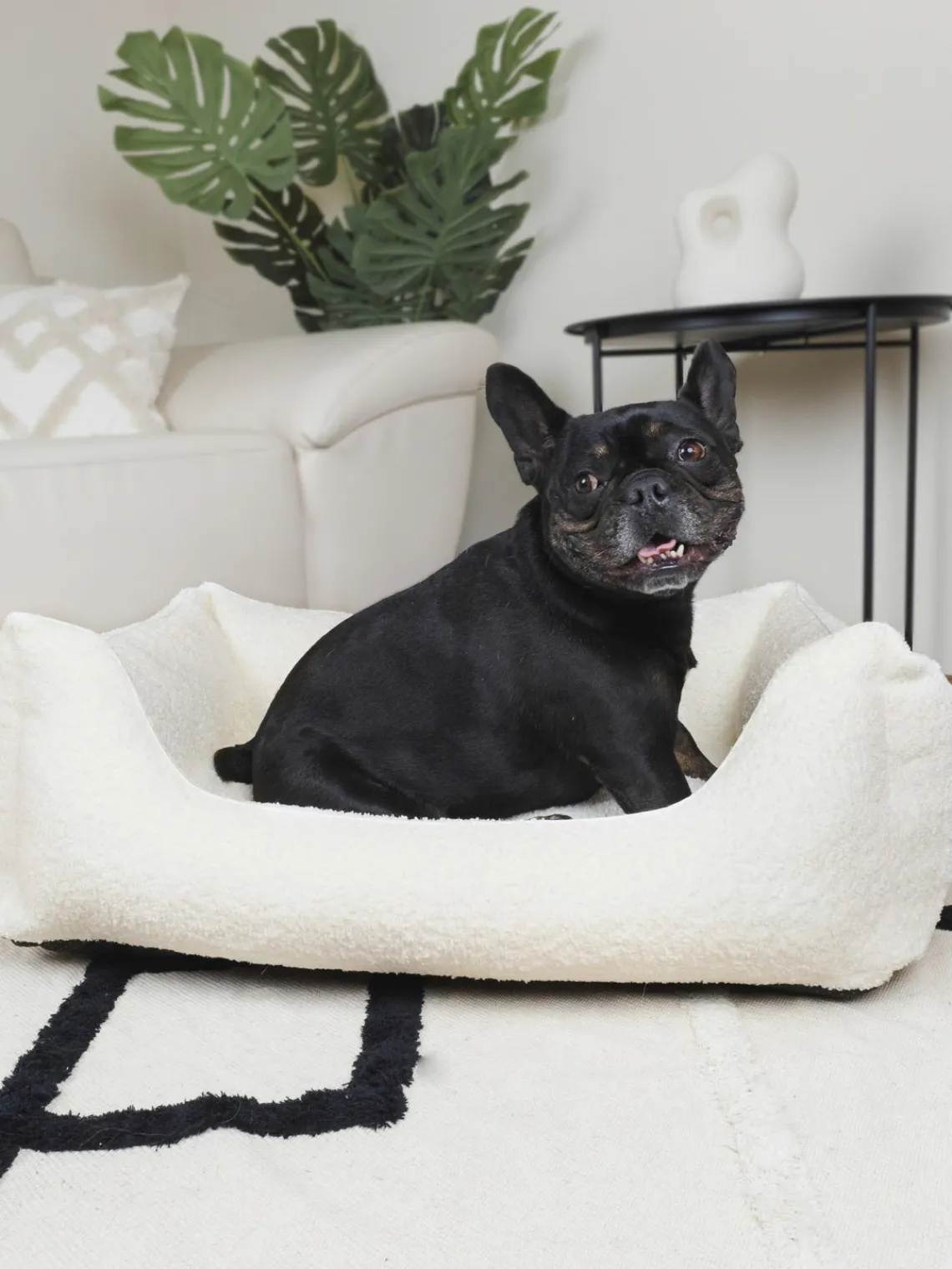 New Dandy Dog Lit en bouclette pour chien Balance, tailles variées