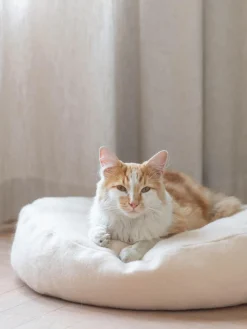 Sale Hoopo Lit pour chat Donut Beige clair