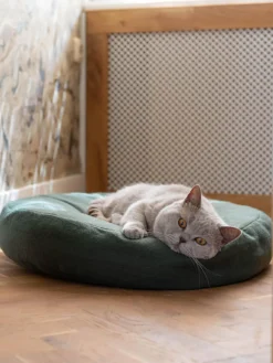 Hot Hoopo Lit pour chat Donut Vert foncé