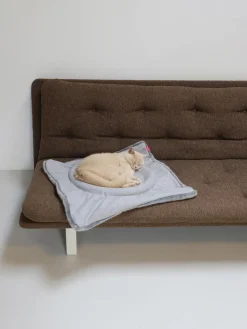 Best Hoopo Lit pour chat Flip Gris