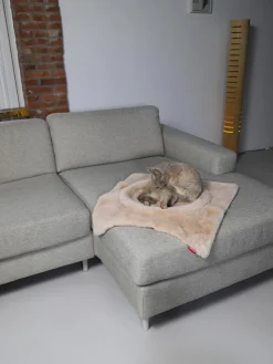 Best Hoopo Lit pour chat Flip Beige