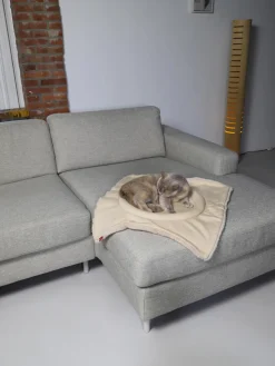 Best Hoopo Lit pour chat Flip Beige