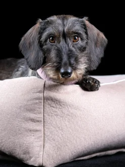 Hot Laboni Lit pour chien en velours Classic, tailles variées Velours pêche
