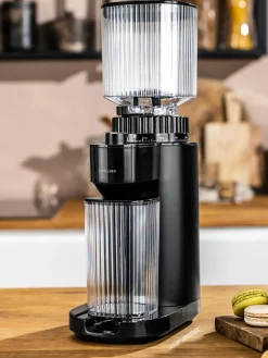 Clearance ZWILLING Moulin à café Enfinigy Noir, transparent