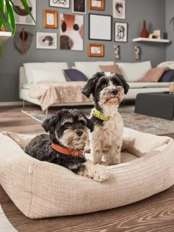 Sale Laboni Panier en velours côtelé pour chien Nova, tailles variées
