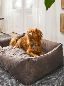 New Laboni Panier en velours pour chien Oxford, tailles variées Taupe, gris clair