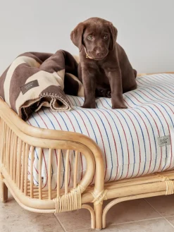Online Oyoy Living Design Panier pour animaux en rotin Otto, tailles variées