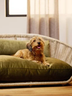 Hot Laboni Panier pour chien intérieur-extérieur Vogue Vert olive, beige